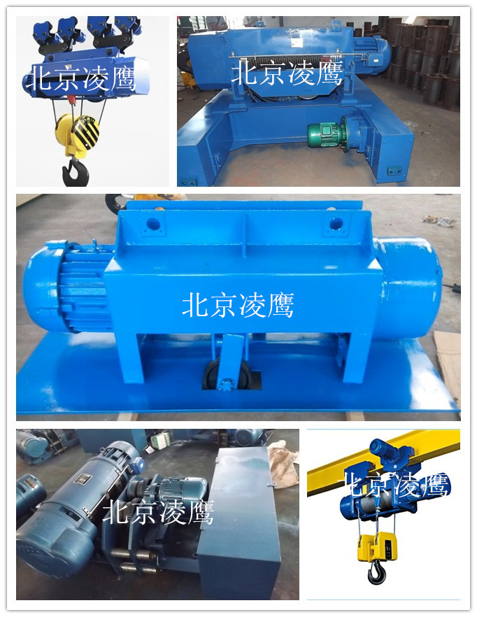 凌鷹部分非標(biāo)電動(dòng)葫蘆案例展示