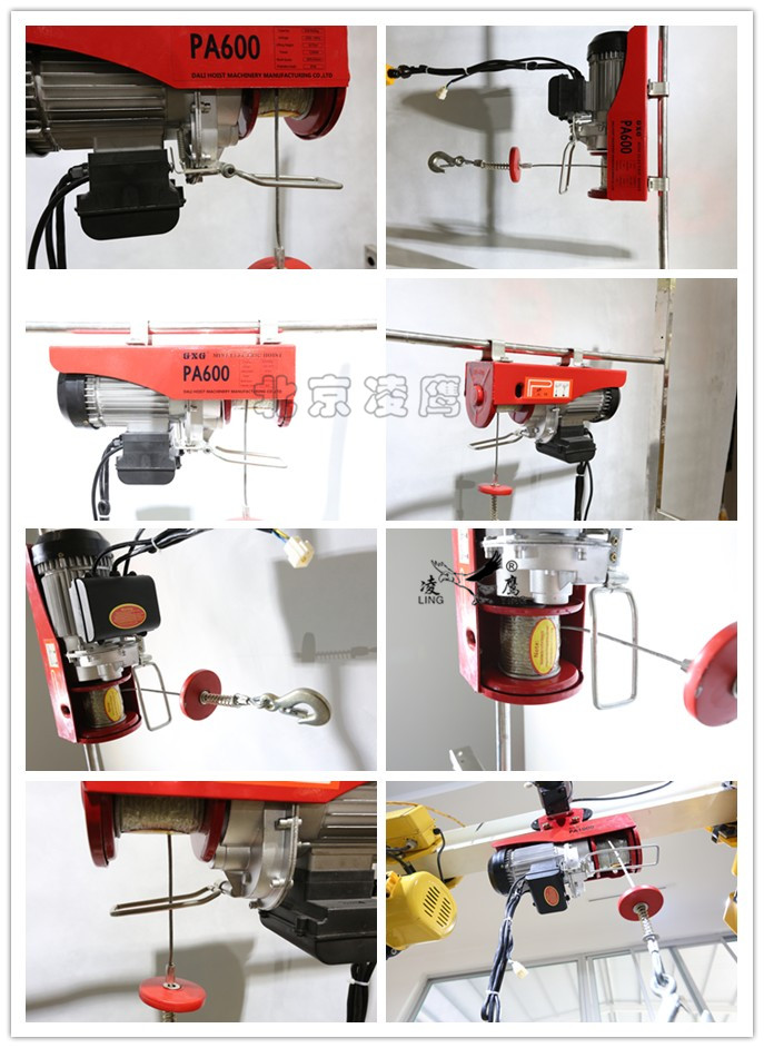 微型電動(dòng)葫蘆