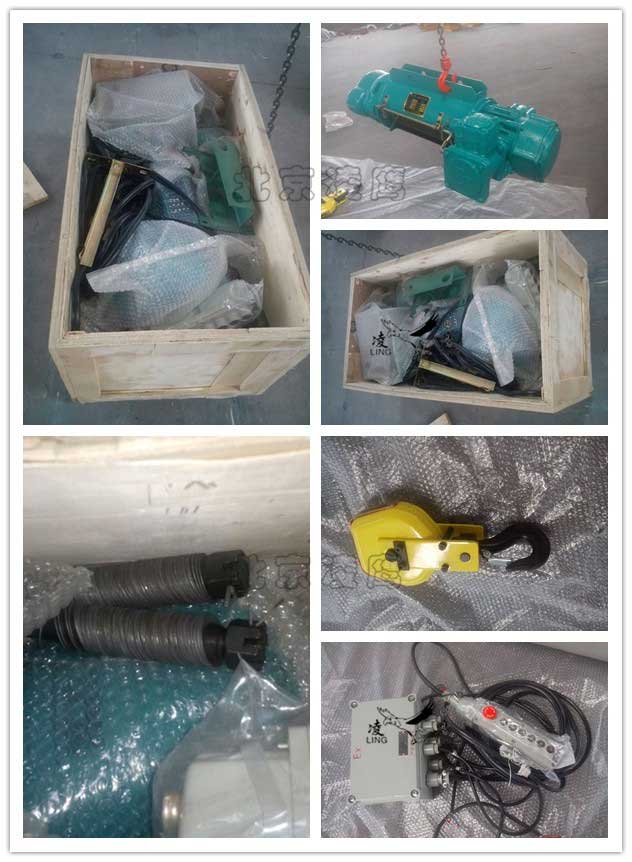 1t9m防爆鋼絲繩電動葫蘆